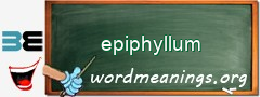 WordMeaning blackboard for epiphyllum